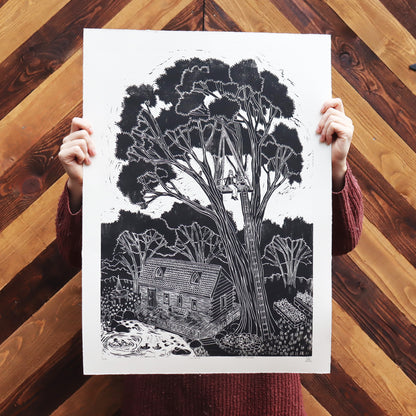 The Oak II - Edition of 90