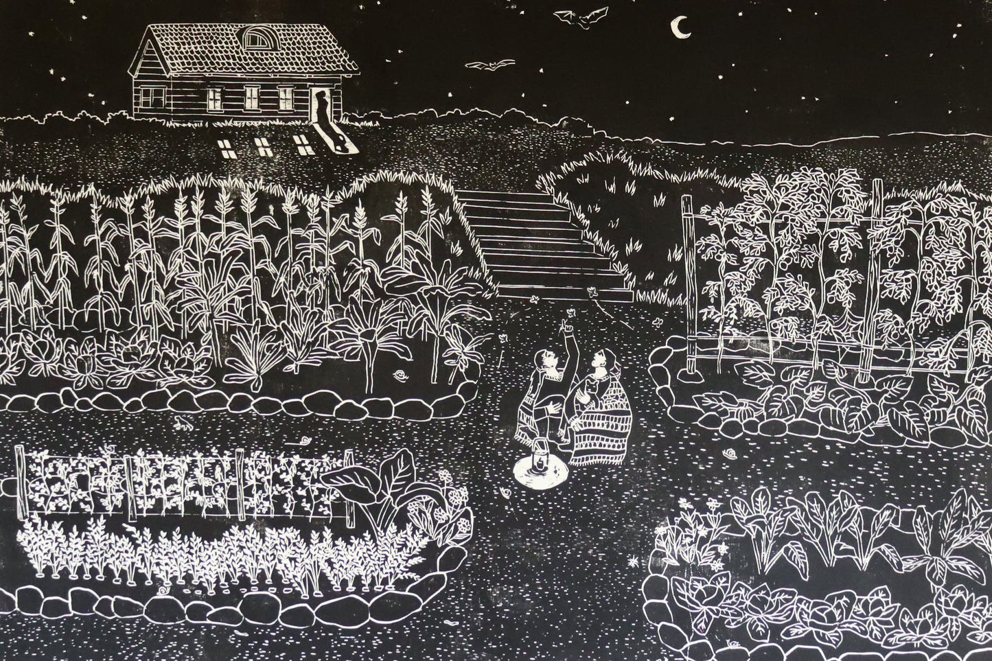 Midnight Wonders - Limited editition of 40