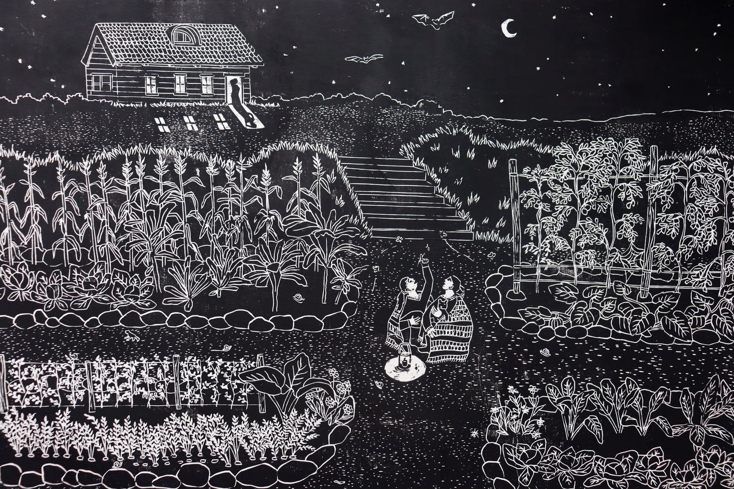Midnight Wonders - Limited editition of 40